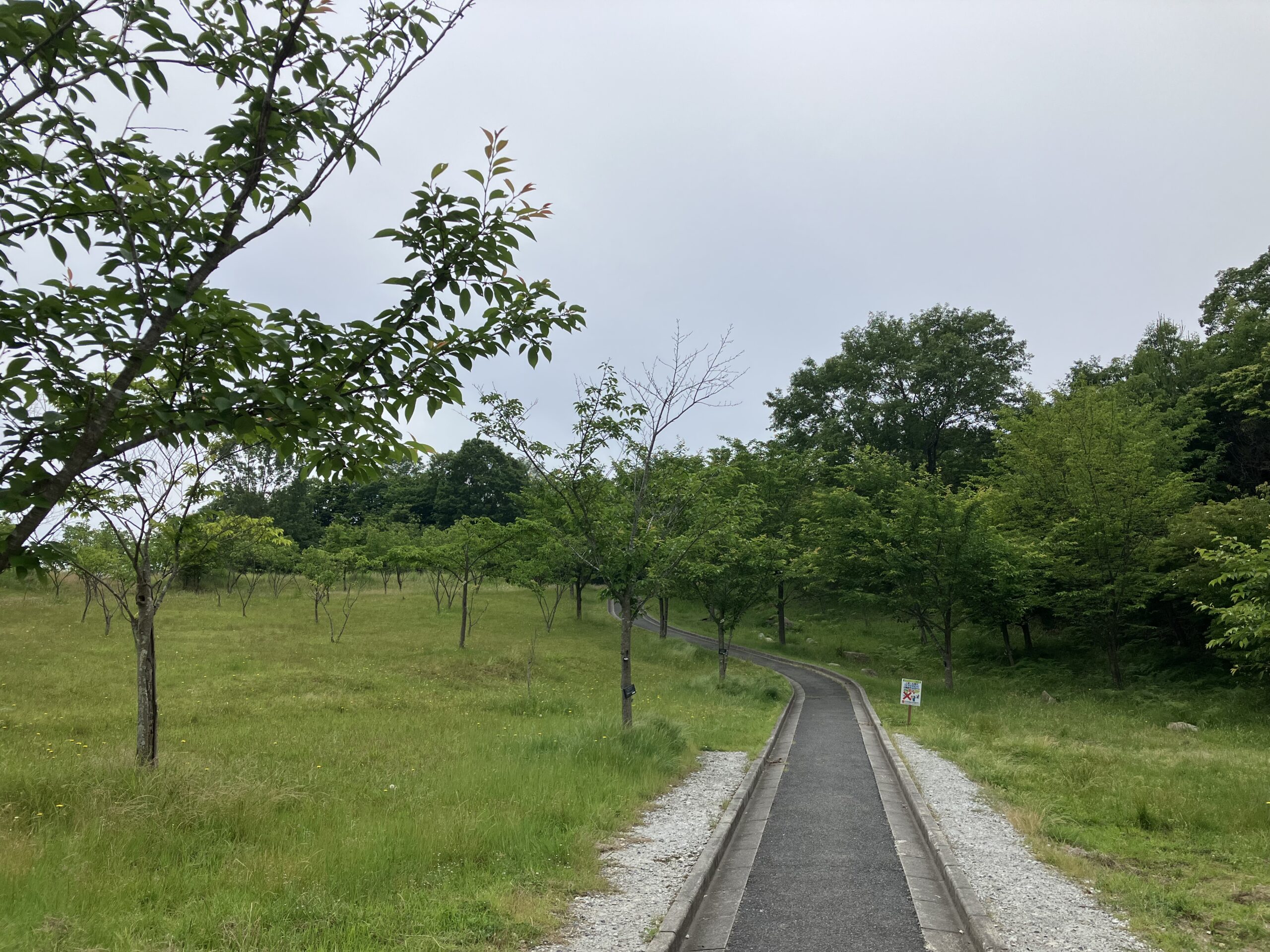 駐車場から続く坂道